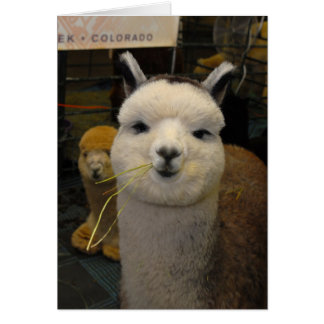 Cartão Aqueles olhos!