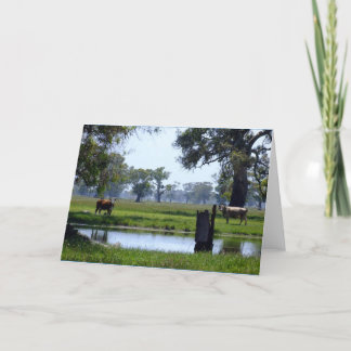 Cartão Aqui está olhando-o