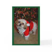 Aqui Vem o Papai Noel de Patas!