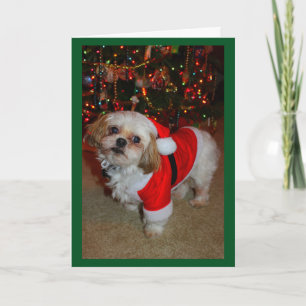 Cartão Aqui Vem o Santa Paws!