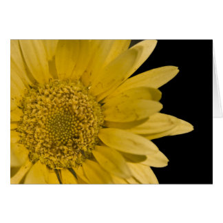 Cartão aqui vem o sol