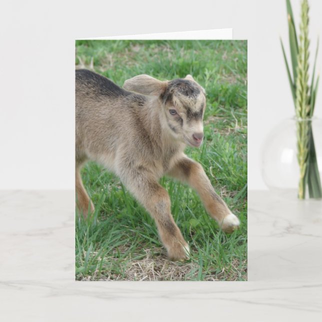 Cartão Aqui vem o trovão (Frente)