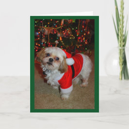 Cartão Aqui Vem Papais noeis!