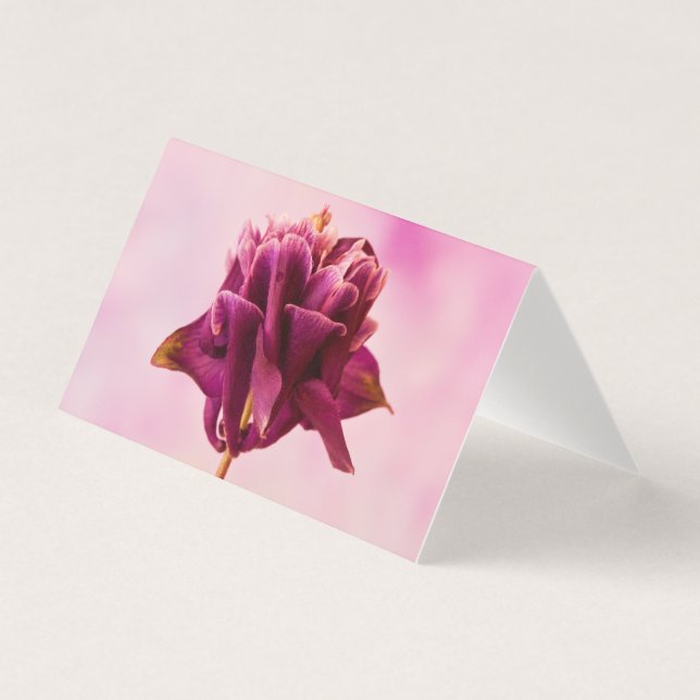 Cartão Aquilégia Rosa Borgonha (Frente)