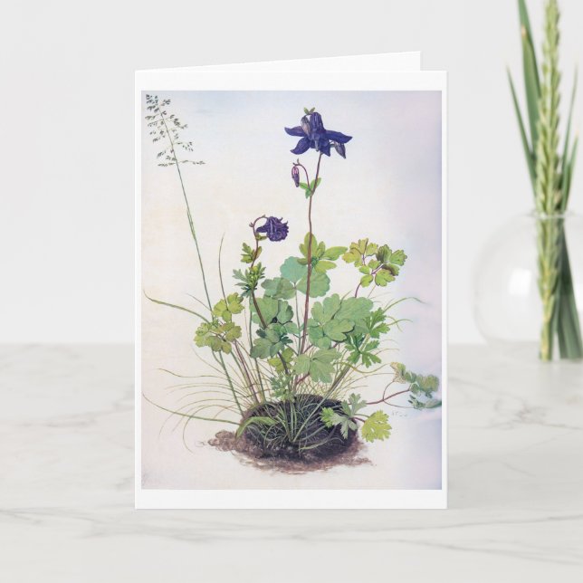 Cartão Aquilia vulgaris Flower, Albrecht Durer (Frente)