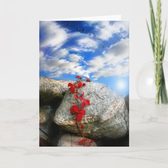 Cartão Ar fresco (Frente)