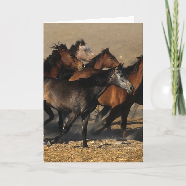 Cartão Árabes que funcionam no deserto (Frente)