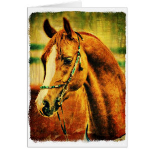 Cartão Arabian bonito