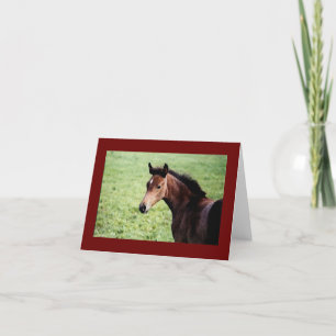 Cartão Arabian foal note card