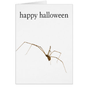Cartão Aranha