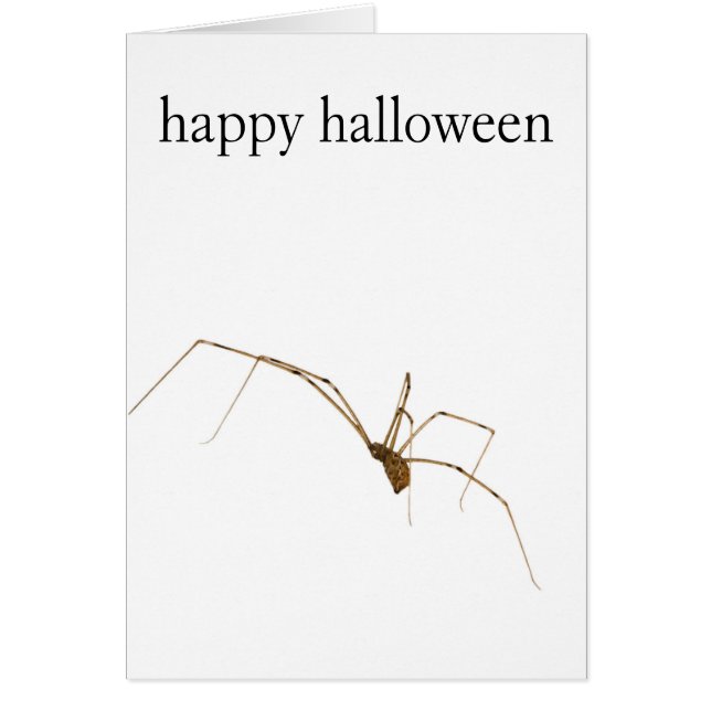 Cartão Aranha (Frente)