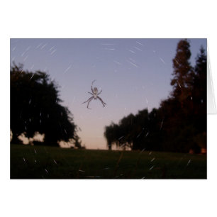 Cartão Aranha