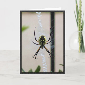 Cartão Aranha da escrita