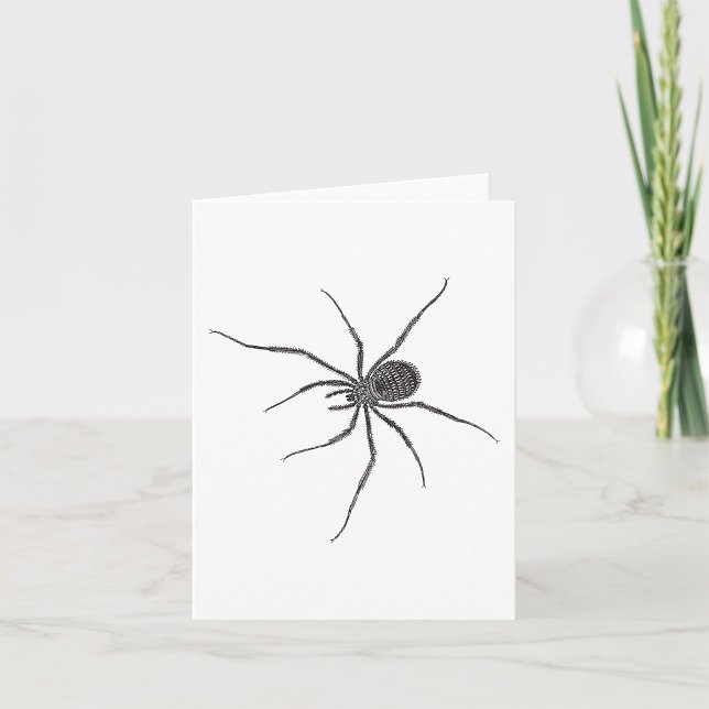 Cartão Aranha Preta de Pernas Longas Aranha Assustadora (Criador carregado)