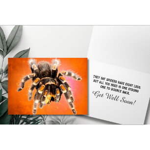 Cartão Aranha Tarantula se dá bem