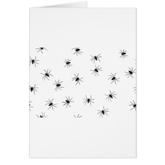 Cartão aranhas (Frente)