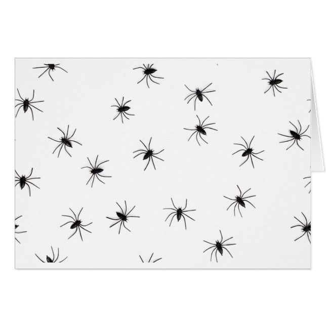 Cartão aranhas (Frente Horizontal)