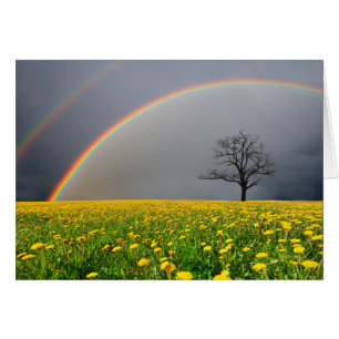 Cartão Arco-íris dobro