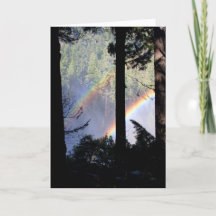 Arco-íris dobro através das árvores