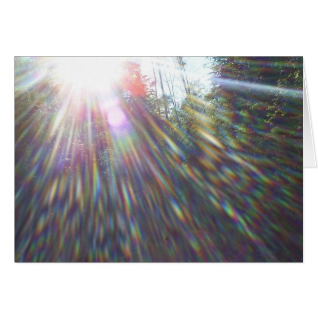 Cartão Arcos-da-chuva em árvores (Frente Horizontal)