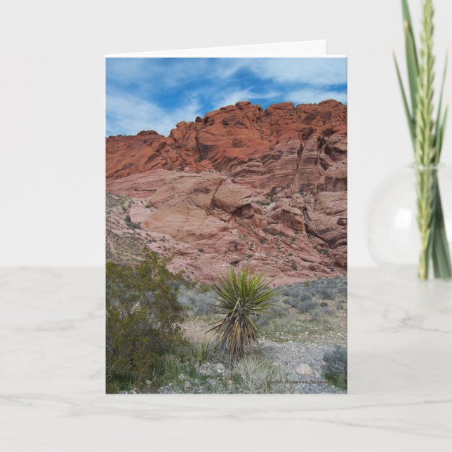 Cartão Área de Conservação do Canyon Red Rock (Frente)