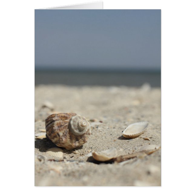Cartão Areia Areia Pelo Mar (Frente)