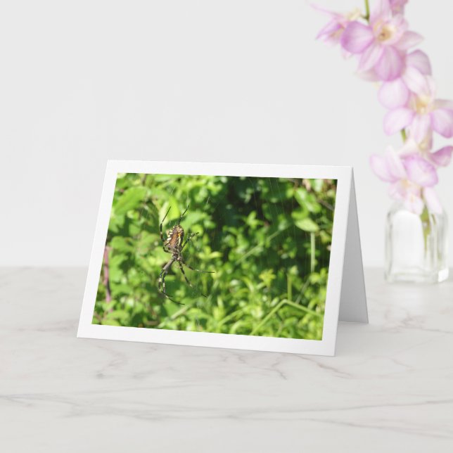Cartão Argiope bruennichi, Vespa Aranha, Tecedeira Orbicu (Orquídea)