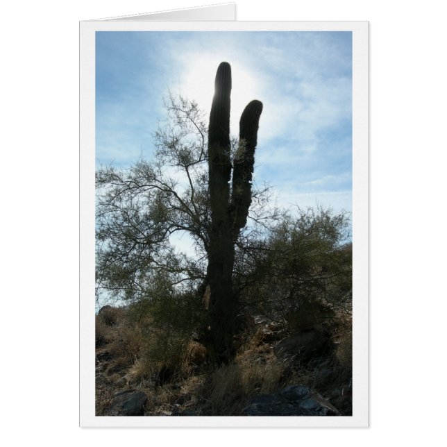 Cartão Arizona Cactus (Vazio) (Frente)