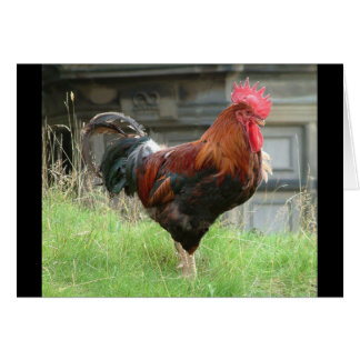 Cartão Arrancando minhas coisas