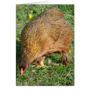 Cartão Arranja a Hen