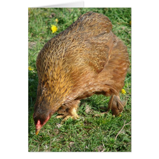 Cartão Arranja a Hen (Frente)