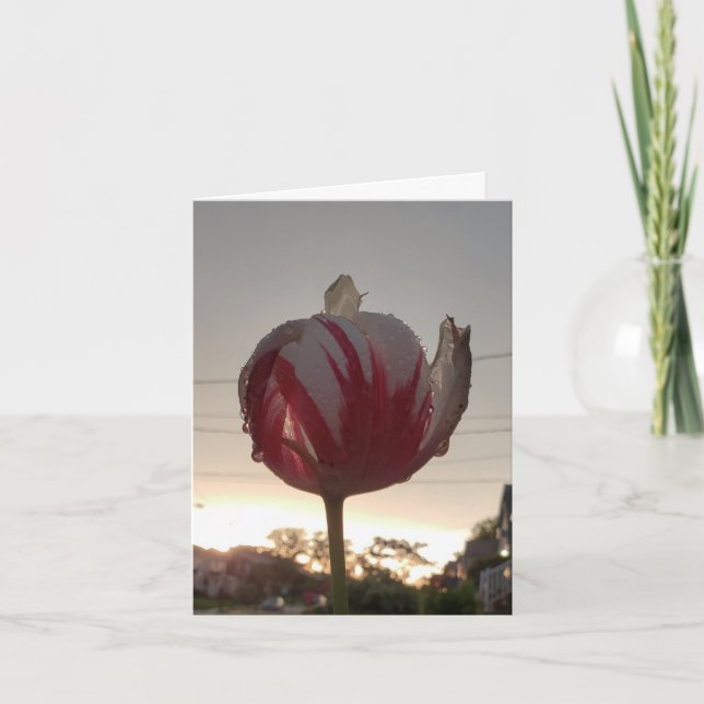 Cartão Arranja Um Emprego, Hippie (Frente)