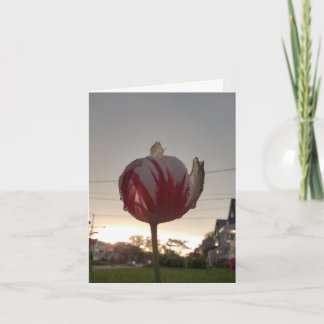 Cartão Arranja Um Trabalho Real, Hippie