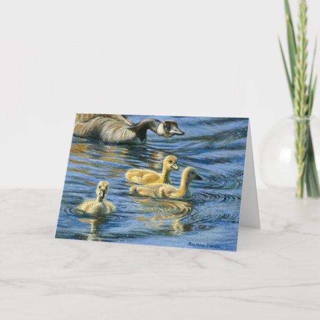 Cartão "Arredondar-Se" (Frente)