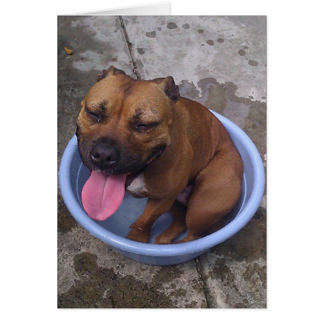 Cartão Arrefecimento em um dia quente! (Frente)