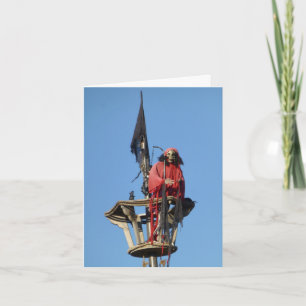 Cartão Arrr matey, Feliz Aniversário