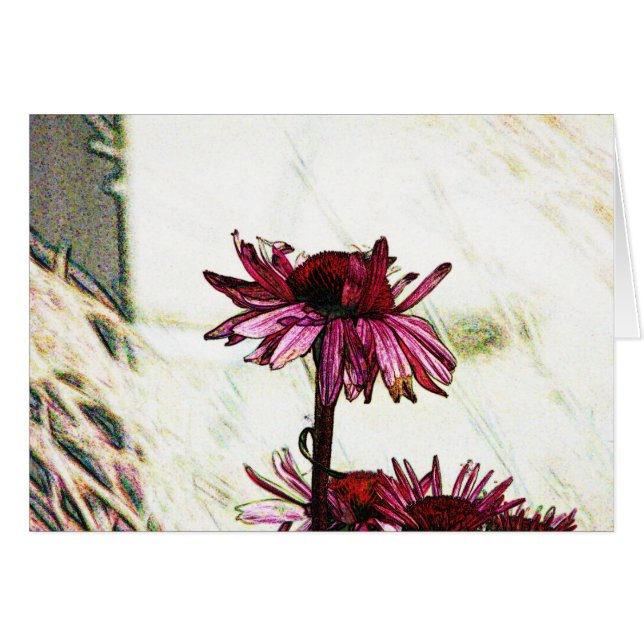 Cartão Arte Coneflower (Frente Horizontal)