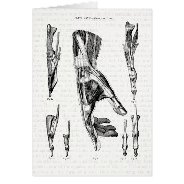 Cartão Arte da anatomia os músculos da mão e do pulso (Frente)