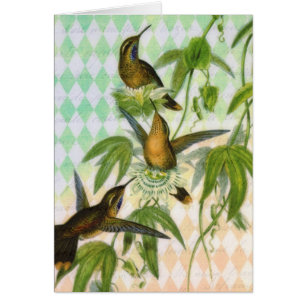 Cartão Arte de Digitas do colibri