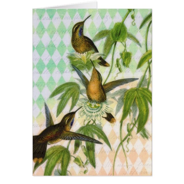 Cartão Arte de Digitas do colibri (Frente)