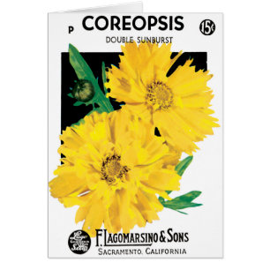 Cartão Arte de Pacotes de Sementes Vintage, Flores de Cor