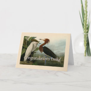 Cartão Arte de Pássaro: Gravura do Garça Roxa de Audubon:
