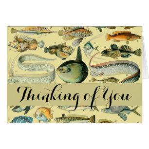 Cartão Arte De Pesca Científica Para Peixes Vintage