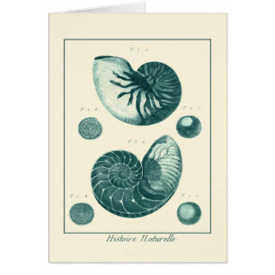 Cartão Arte de Seashell Vermelha e Verde