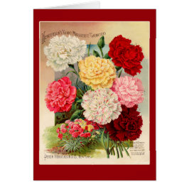 Cartão Arte do pacote da semente do vintage dos cravos em