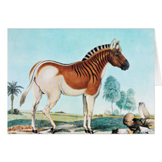 Cartão Arte do Quagga da aguarela (zebra)