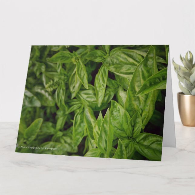 Cartão Arte Fina Manjericão (Planta pequena)