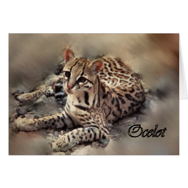 Cartão Arte Ocelot (Frente Horizontal)