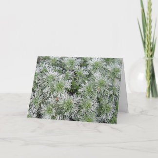 Cartão Artemísia do castelo de Powis