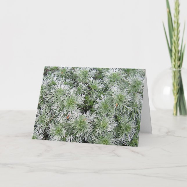 Cartão Artemísia do castelo de Powis (Frente)